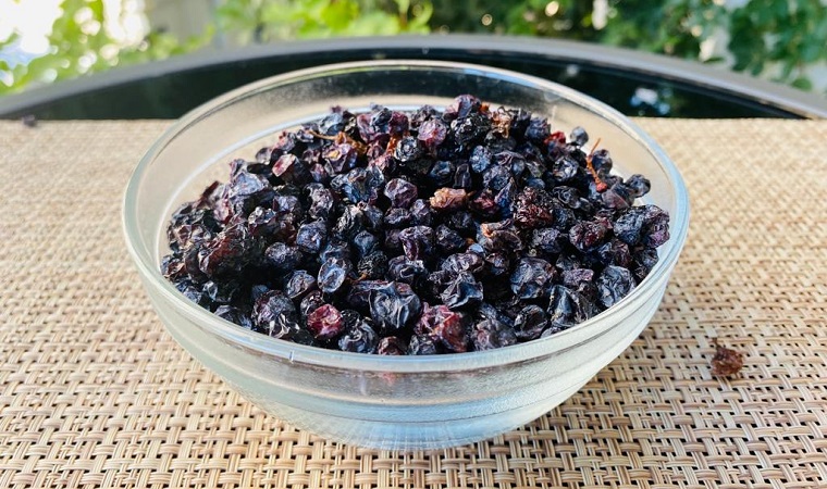 Kuş Üzümü